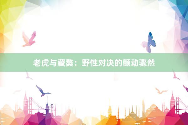 老虎与藏獒：野性对决的颤动骤然