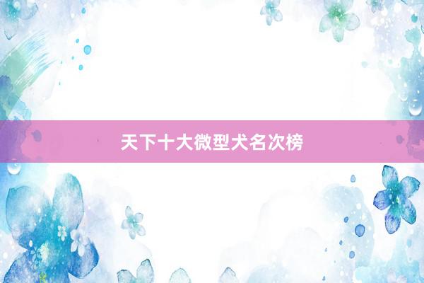 天下十大微型犬名次榜