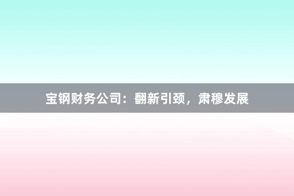 宝钢财务公司：翻新引颈，肃穆发展