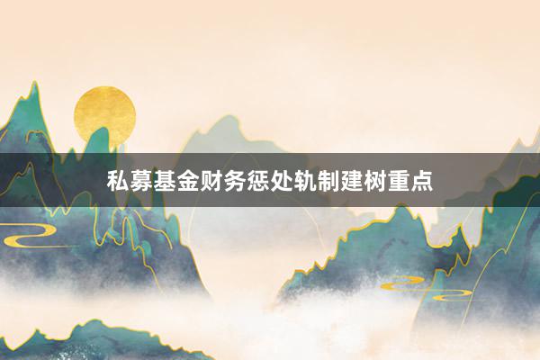 私募基金财务惩处轨制建树重点